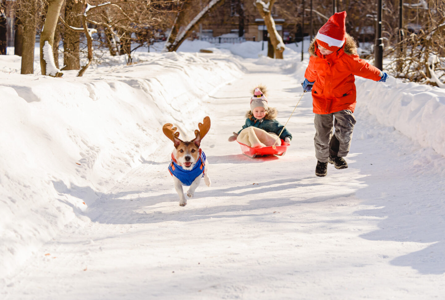 Kinder spielen mit Hund im Schnee