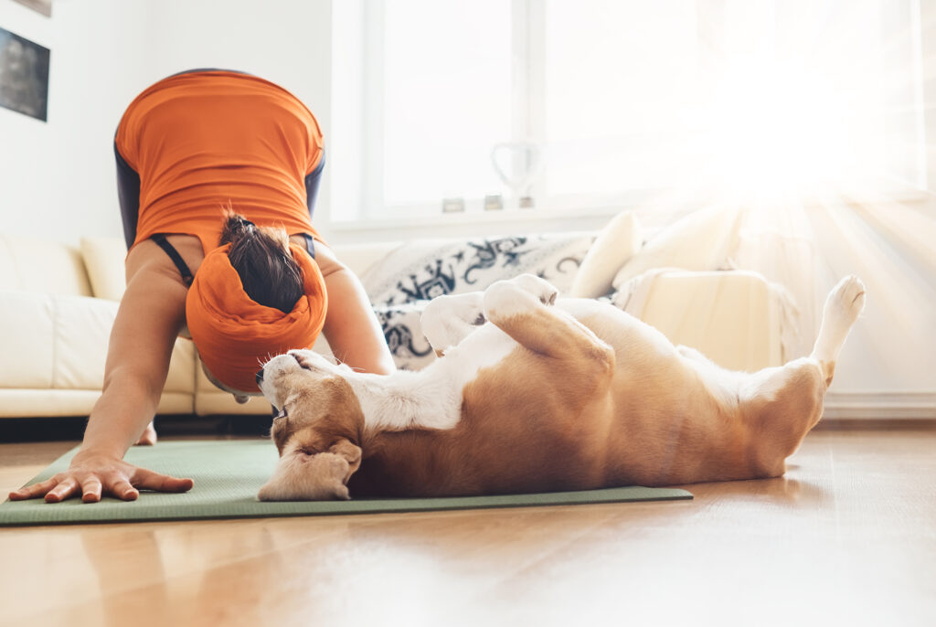 Junge Frau macht gemeinsam mit ihrem Hunde eine Yogaübung