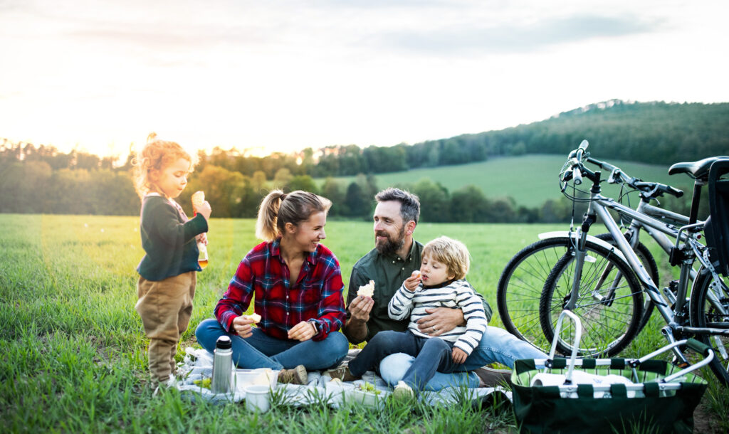 Familien-Picknick in der Natur auf der Wiese