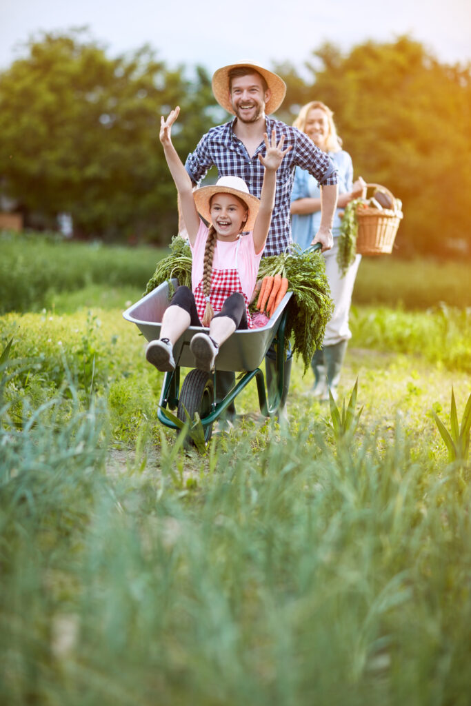 Familie bei der Gartenarbeit, Vater schiebt Kind in der Schubkarre