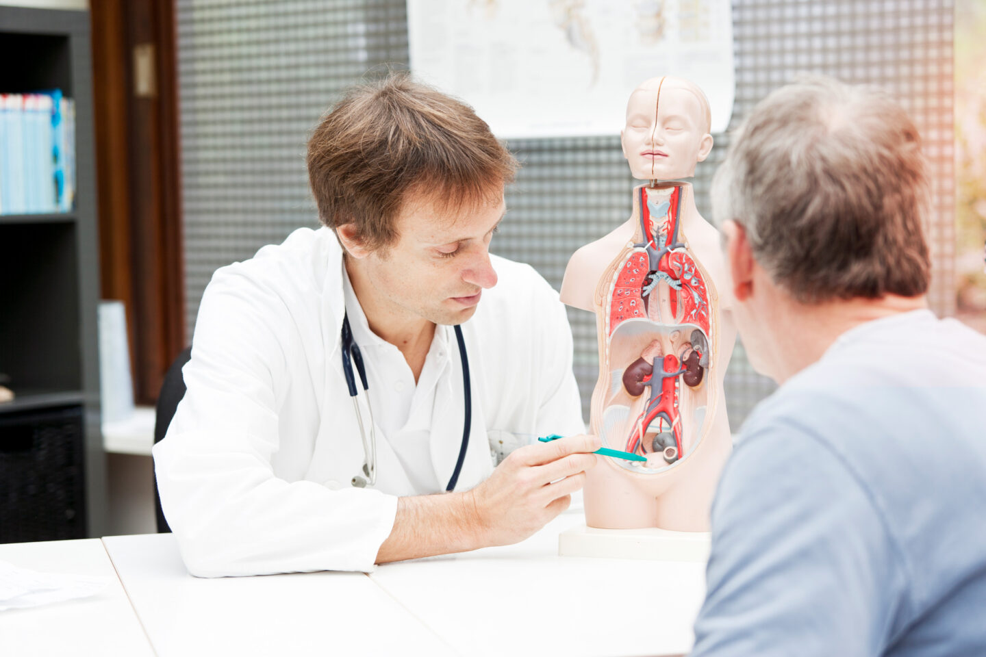 Arzt, der einem Patienten urologische Probleme am Modell erklärt.